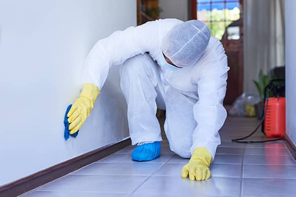 Biohazard Cleanup Services Biohazard Cleanup Services
