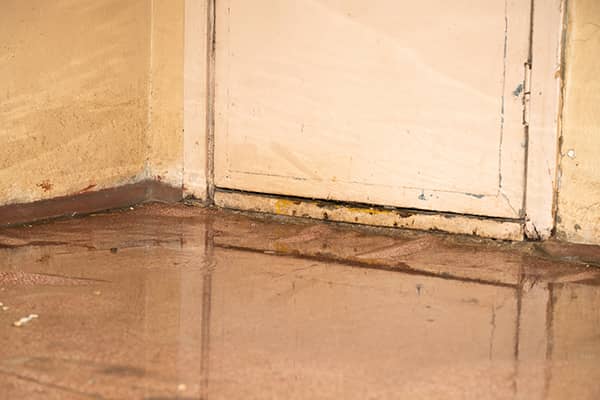 Flood Damage Restoration Services Flood Damage Restoration Services