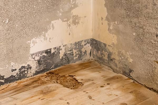 Water Damage Restoration Services